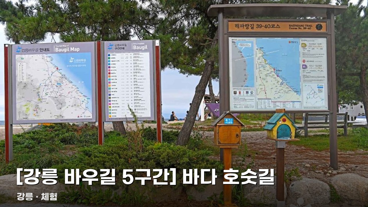 [강릉 바우길 5구간] 바다 호숫길