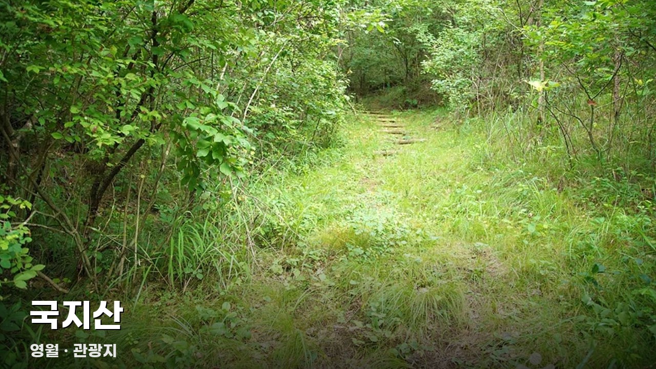 국지산