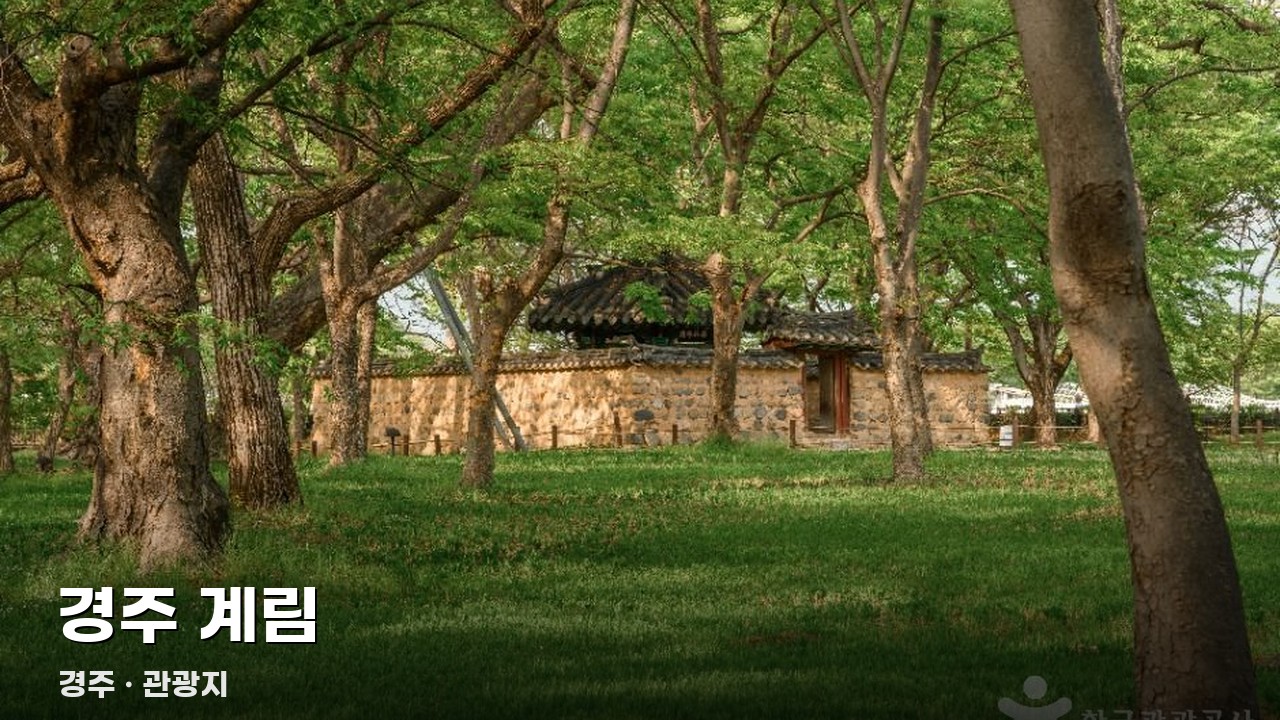 경주 계림