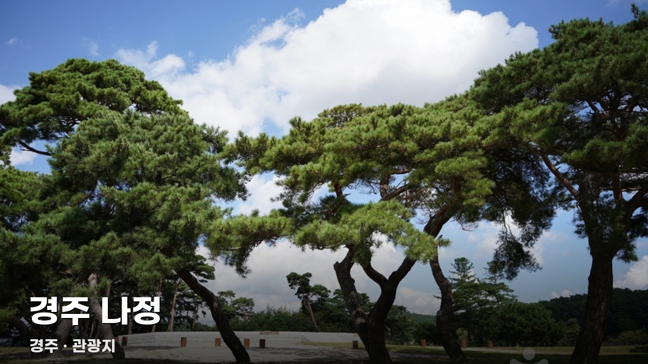경주 나정