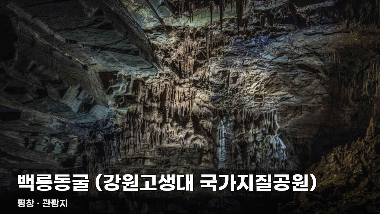 백룡동굴 (강원고생대 국가지질공원)