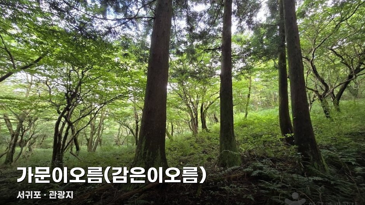 방문 안내