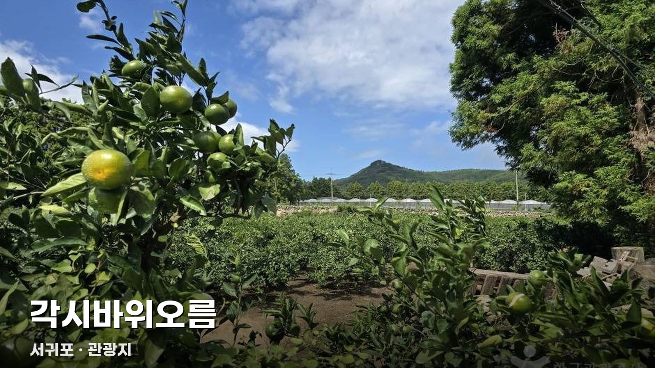 각시바위오름