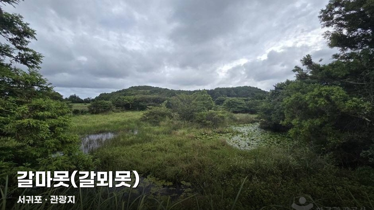 갈마못(갈뫼못)