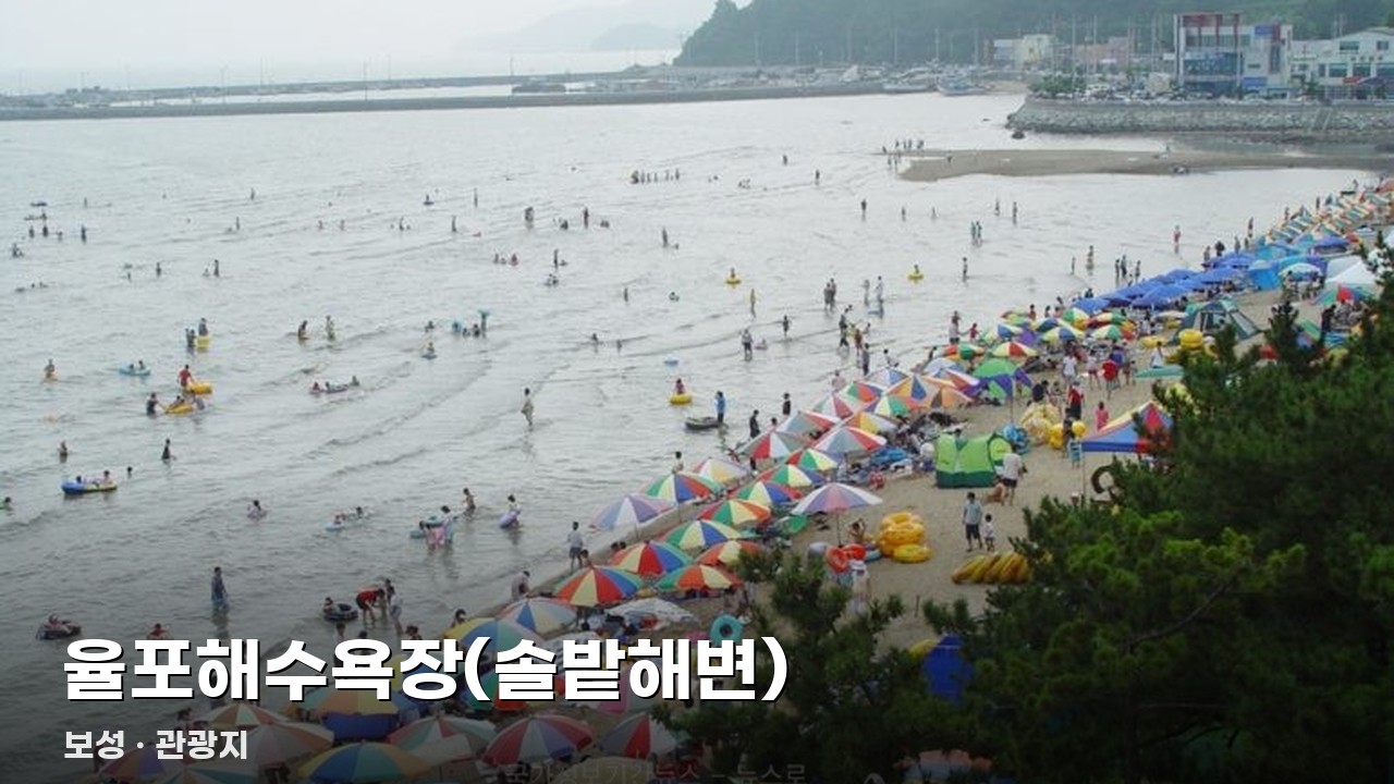 율포해수욕장(솔밭해변)