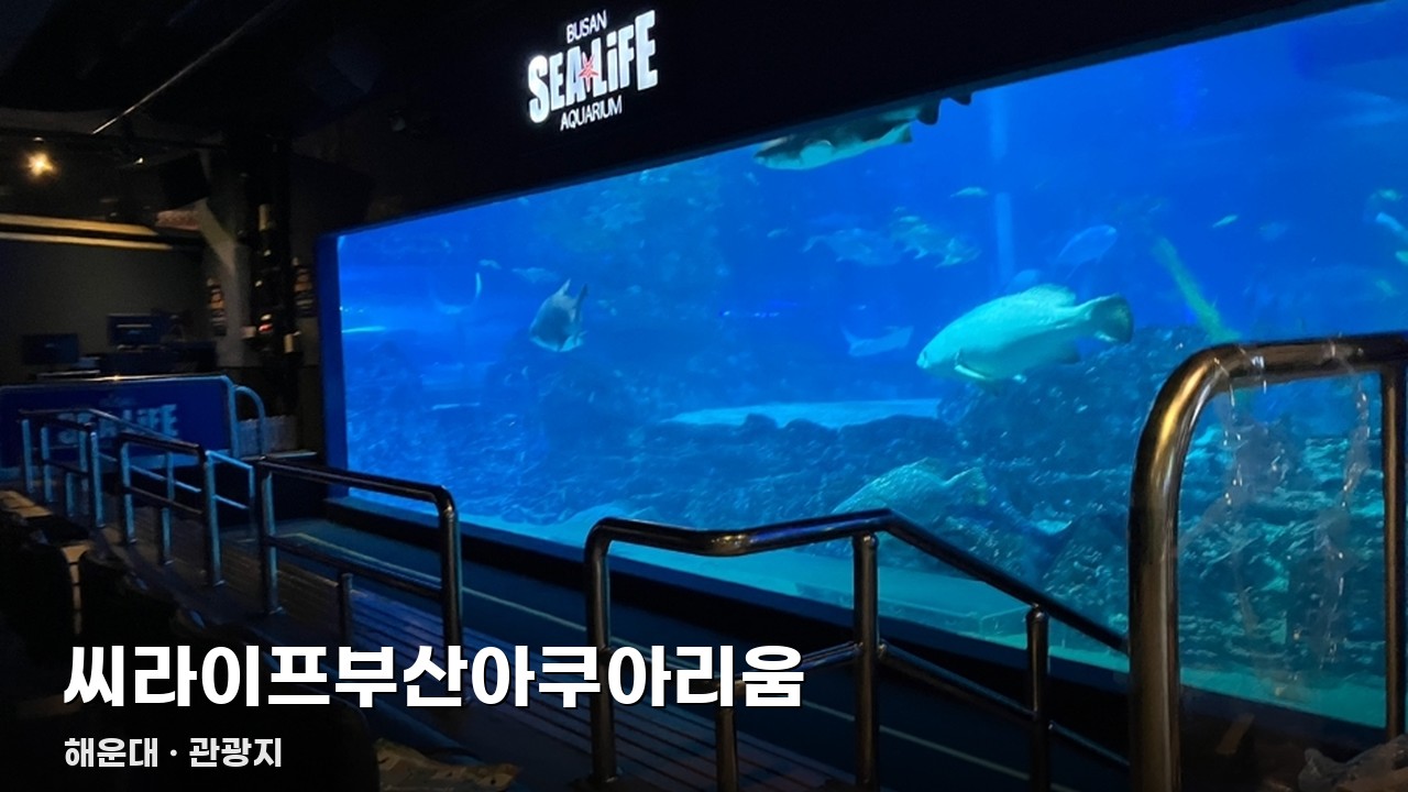 씨라이프부산아쿠아리움
