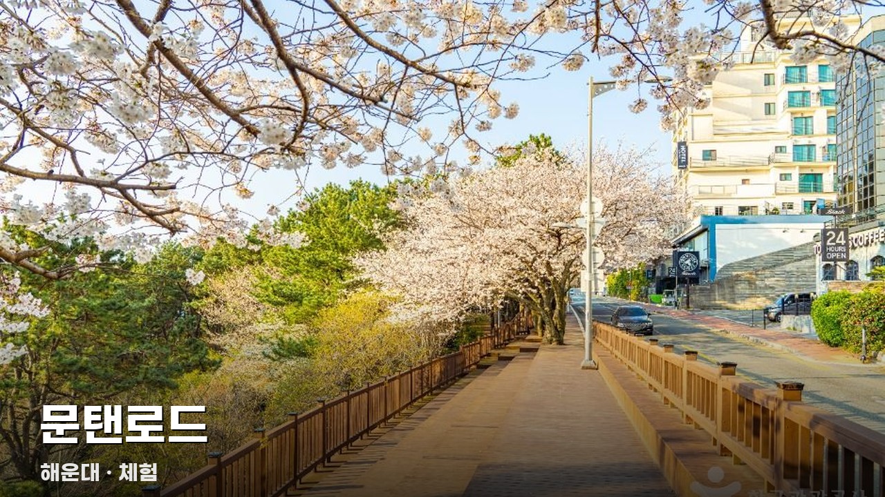 문탠로드