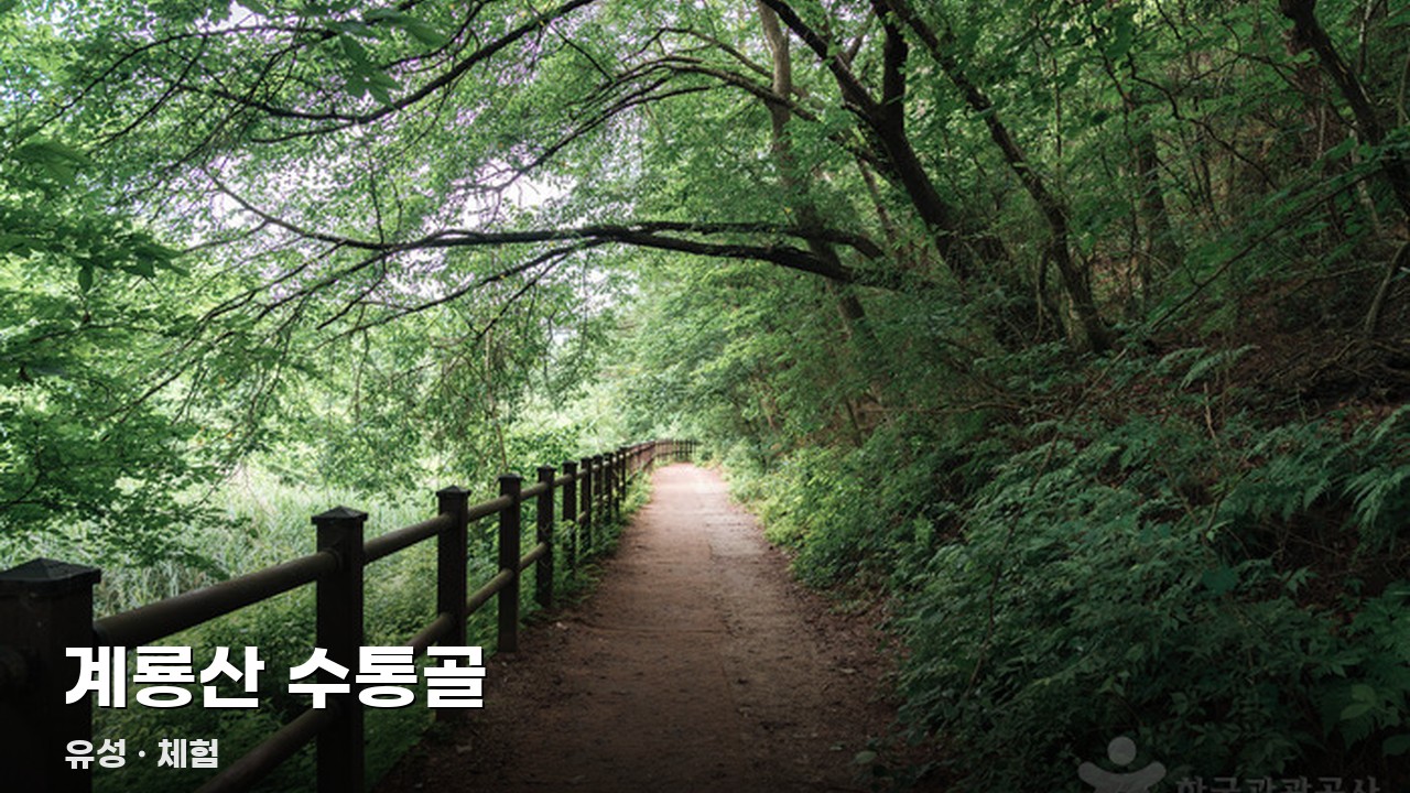계룡산 수통골