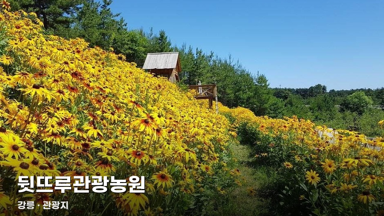 뒷뜨루관광농원