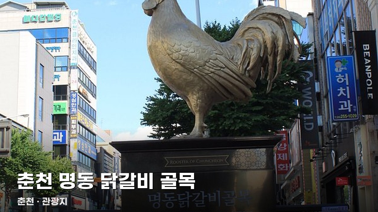춘천 명동 닭갈비 골목