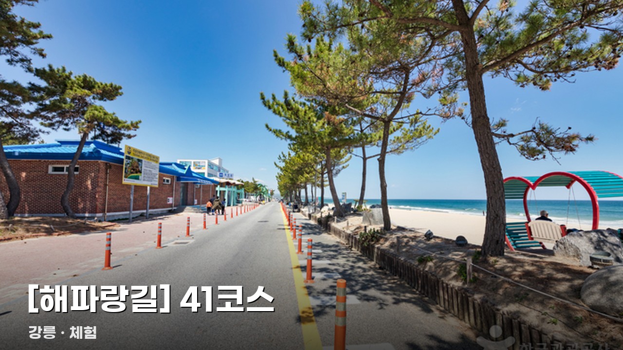 [해파랑길] 41코스