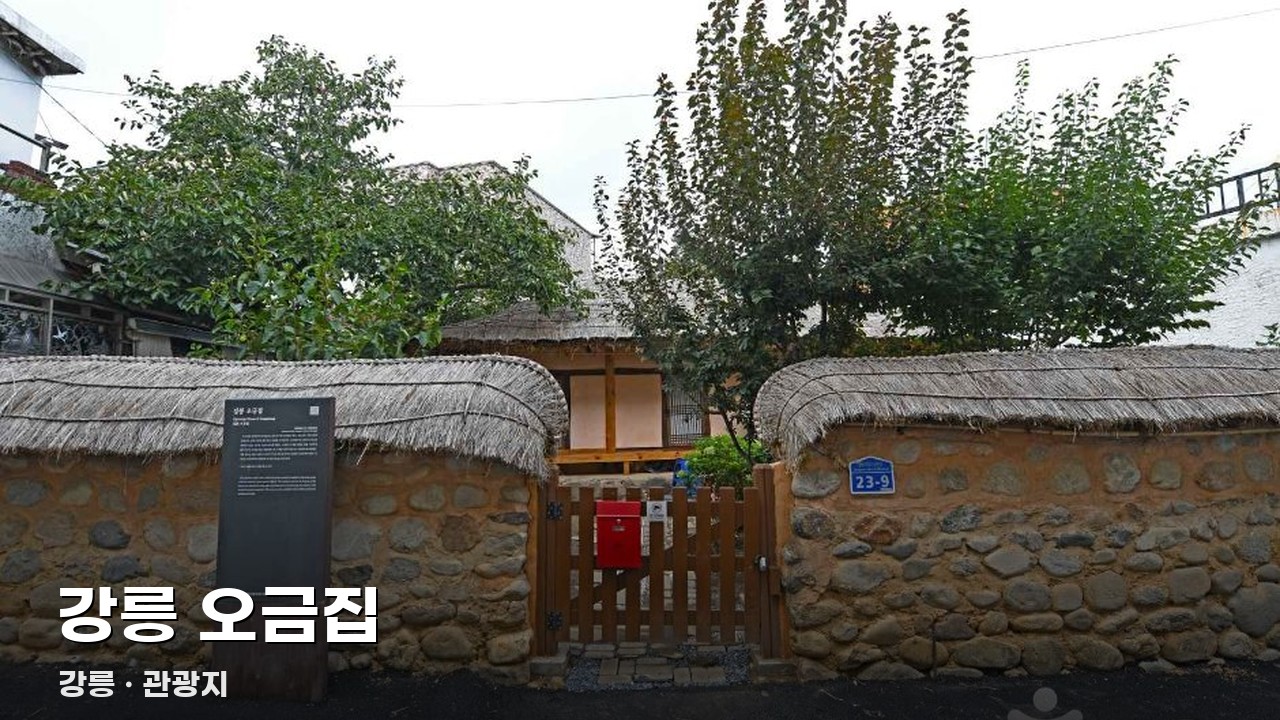 강릉 오금집