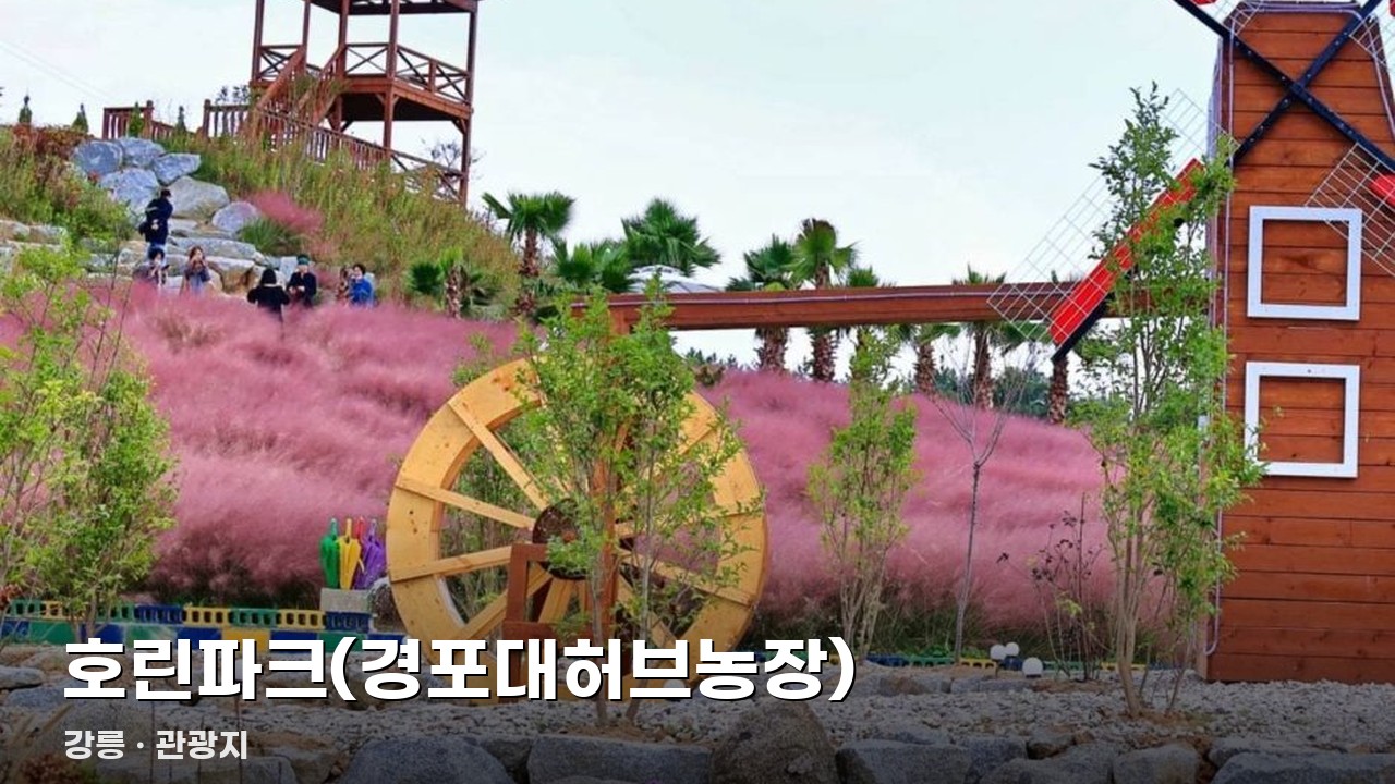 호린파크(경포대허브농장)