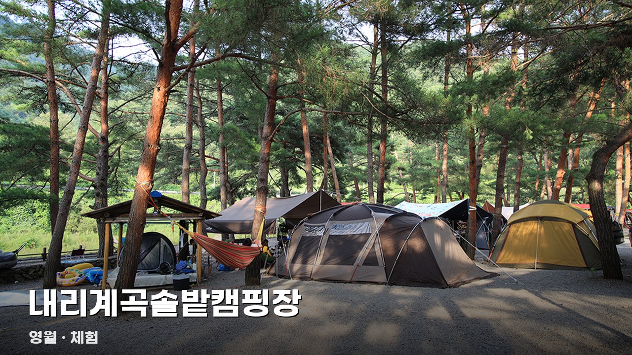 내리계곡솔밭캠핑장