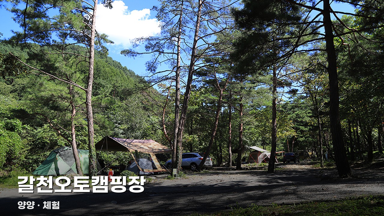 갈천오토캠핑장