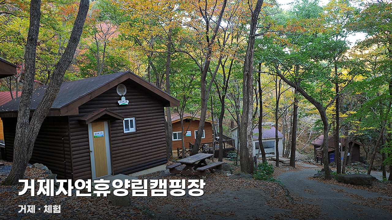 거제자연휴양림캠핑장