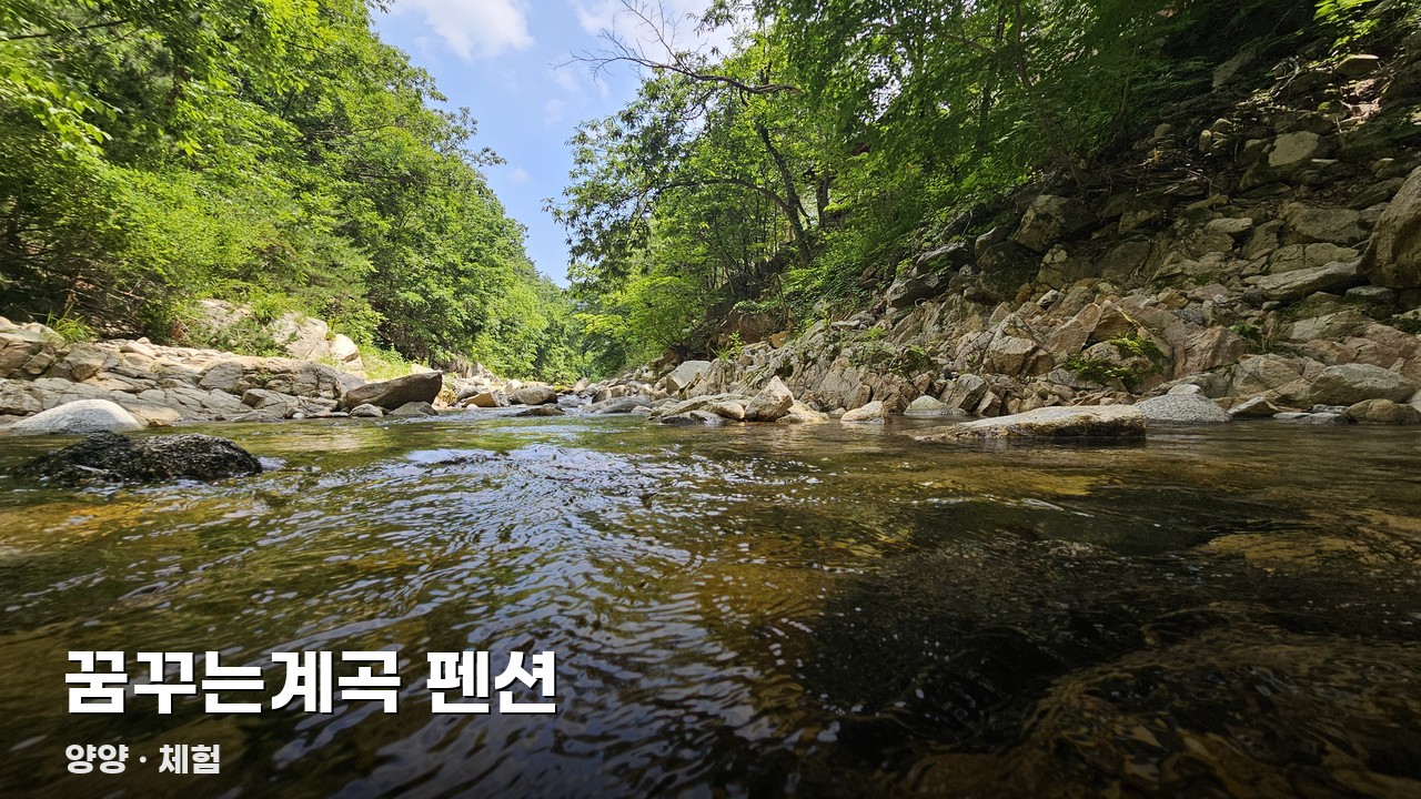 꿈꾸는계곡 펜션