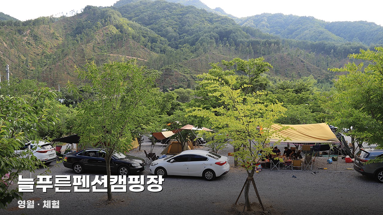 늘푸른펜션캠핑장