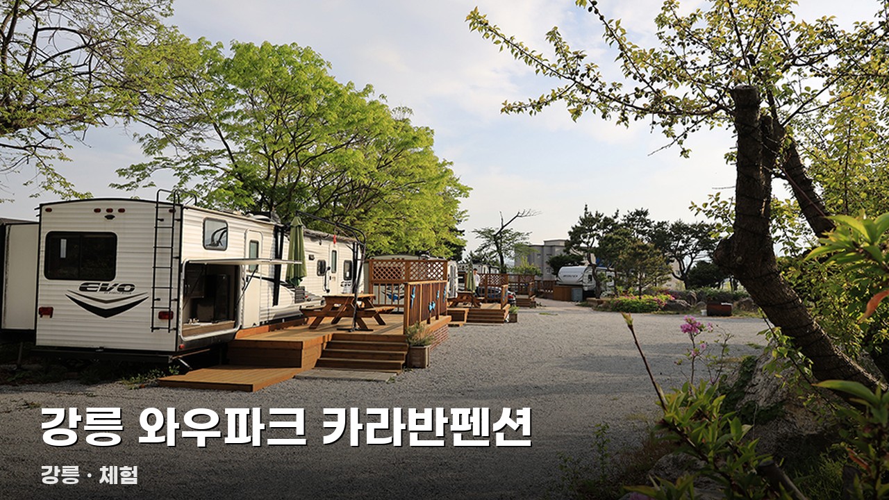 강릉 와우파크 카라반펜션