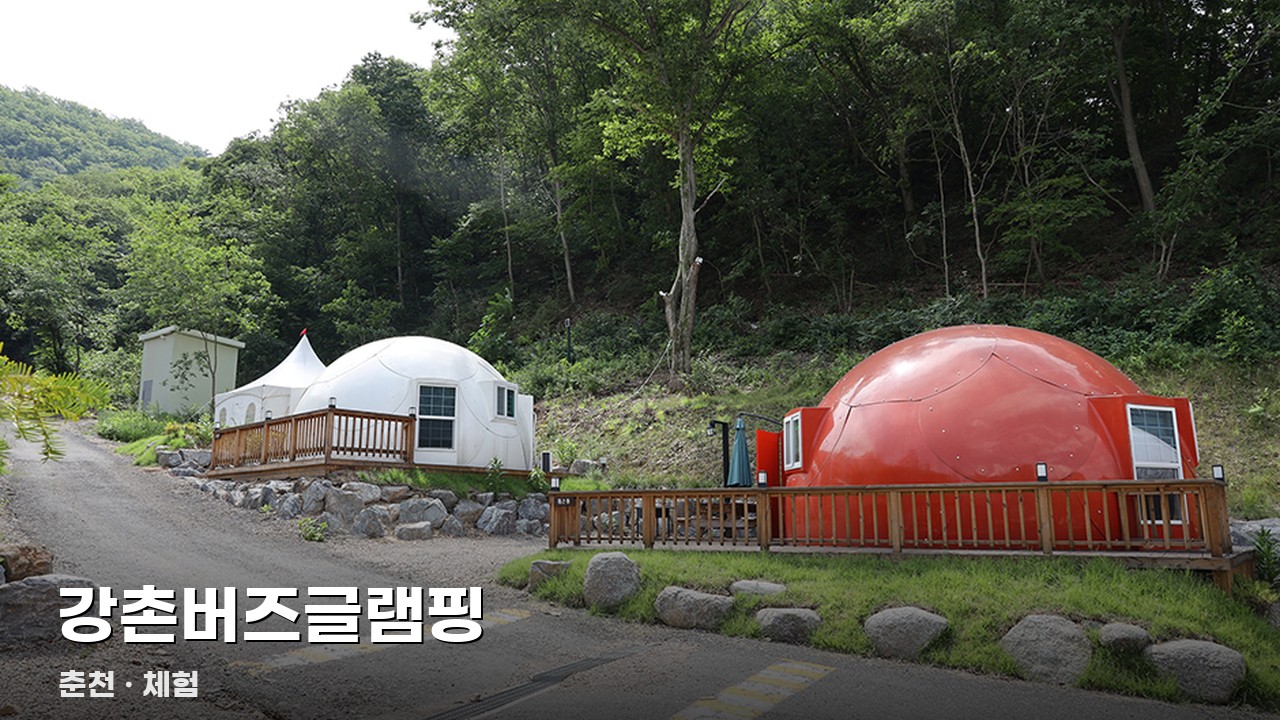강촌버즈글램핑
