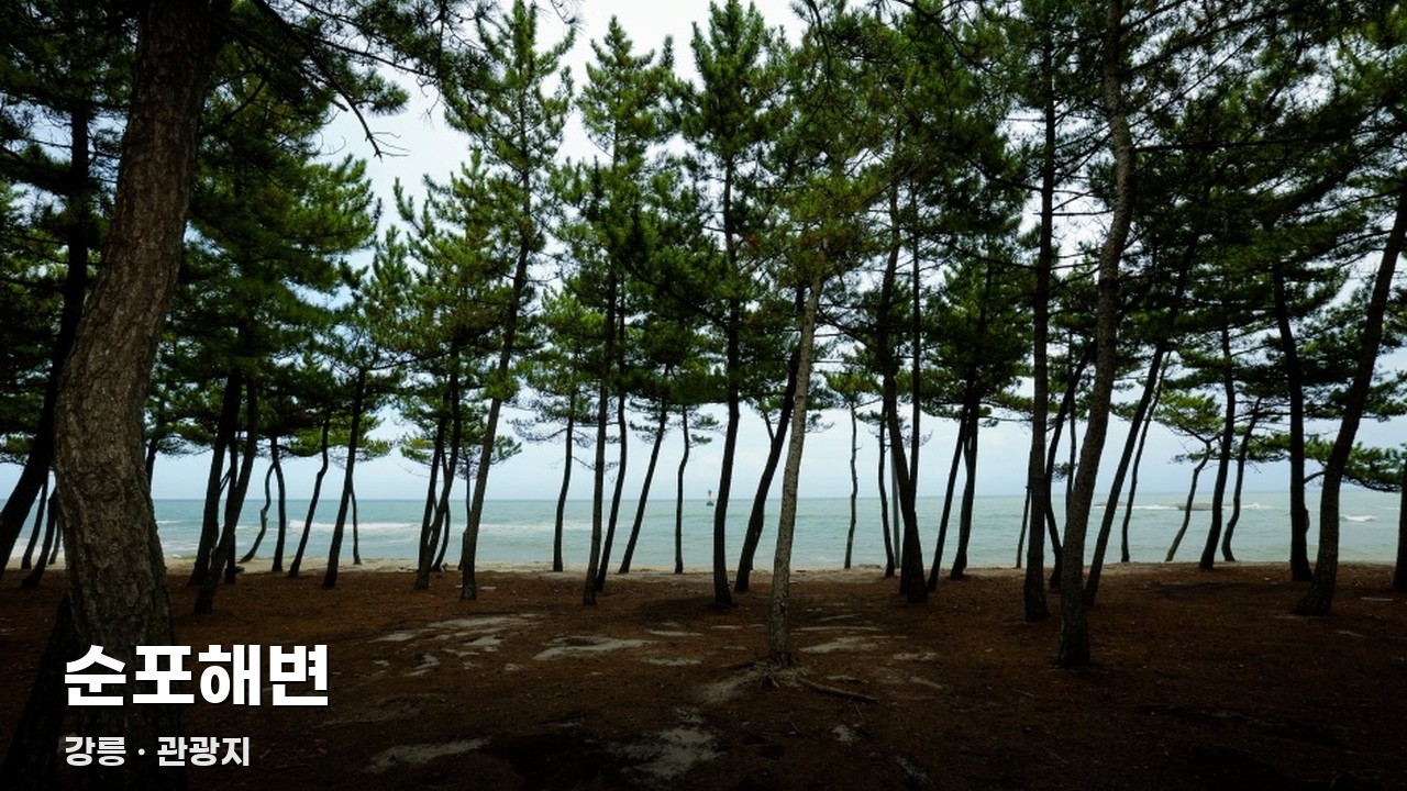순포해변