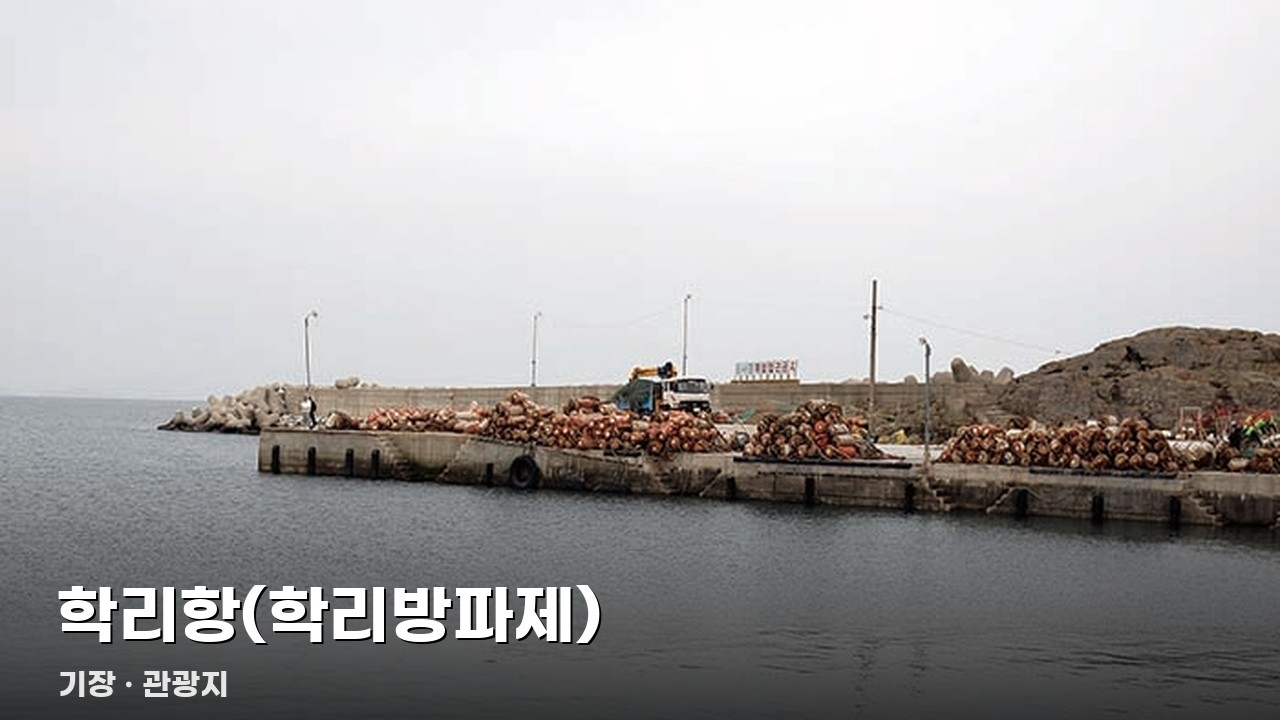 학리항(학리방파제)