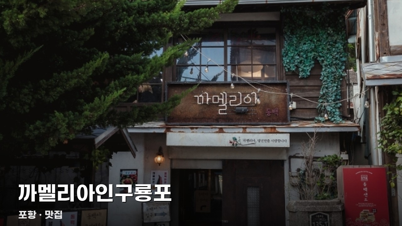 까멜리아인구룡포