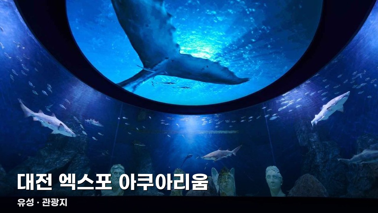 대전 엑스포 아쿠아리움