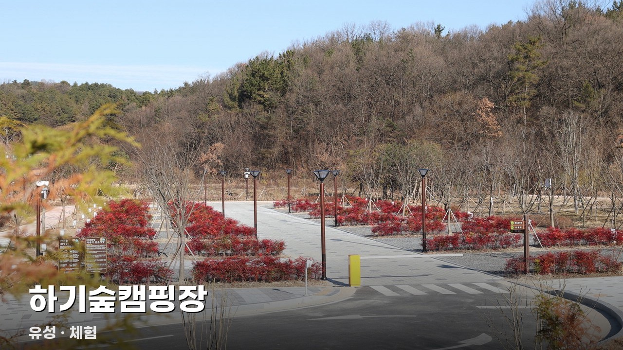 하기숲캠핑장