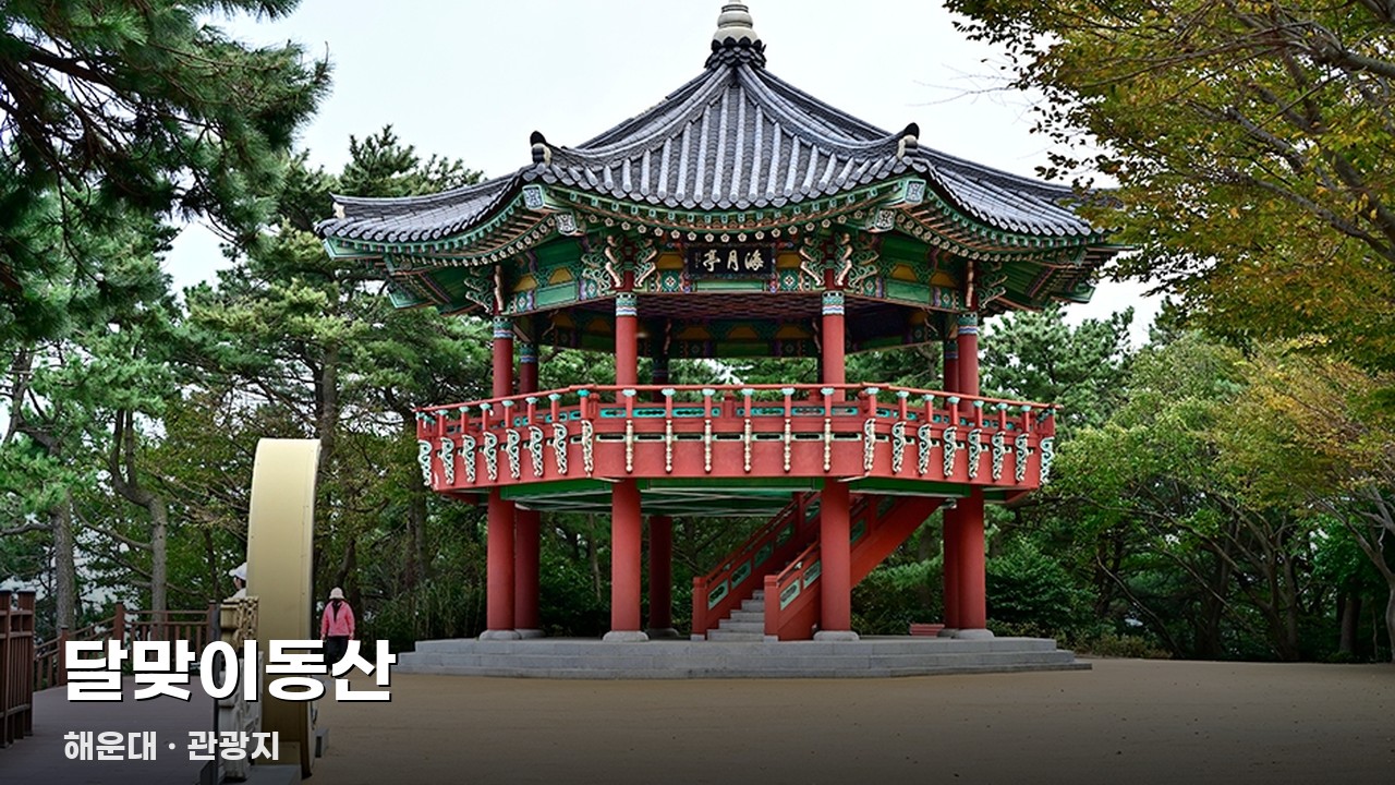 달맞이동산