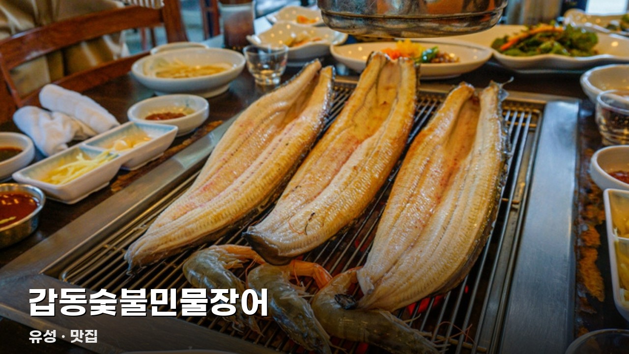 갑동숯불민물장어