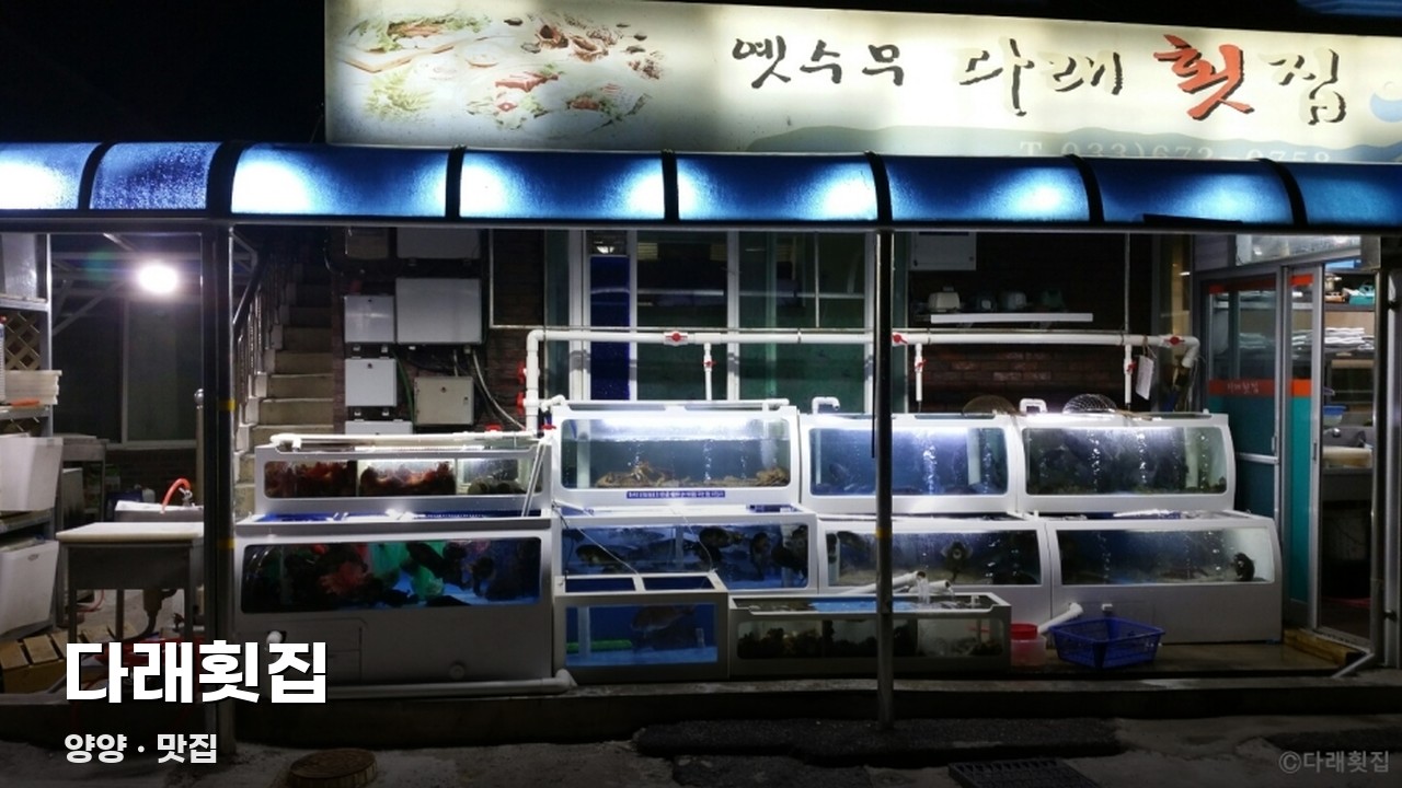 다래횟집