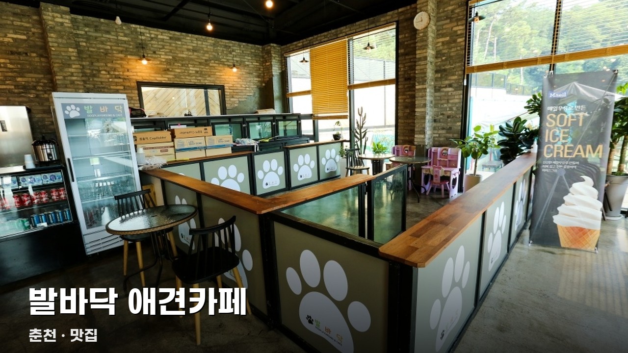 발바닥 애견카페