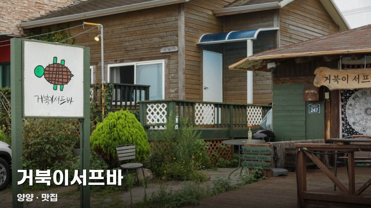 거북이서프바