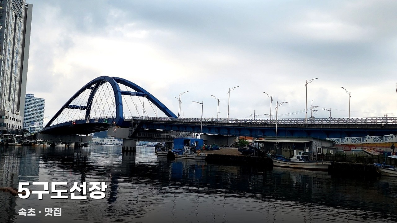 5구도선장