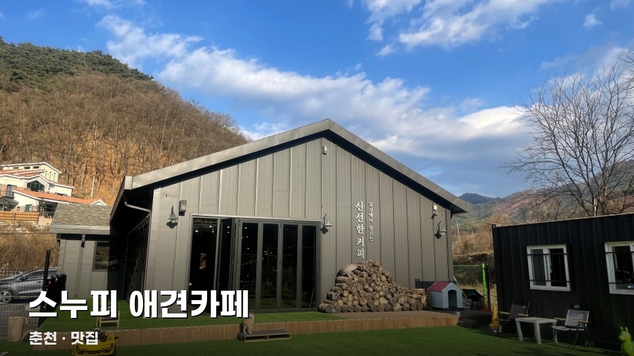 스누피 애견카페