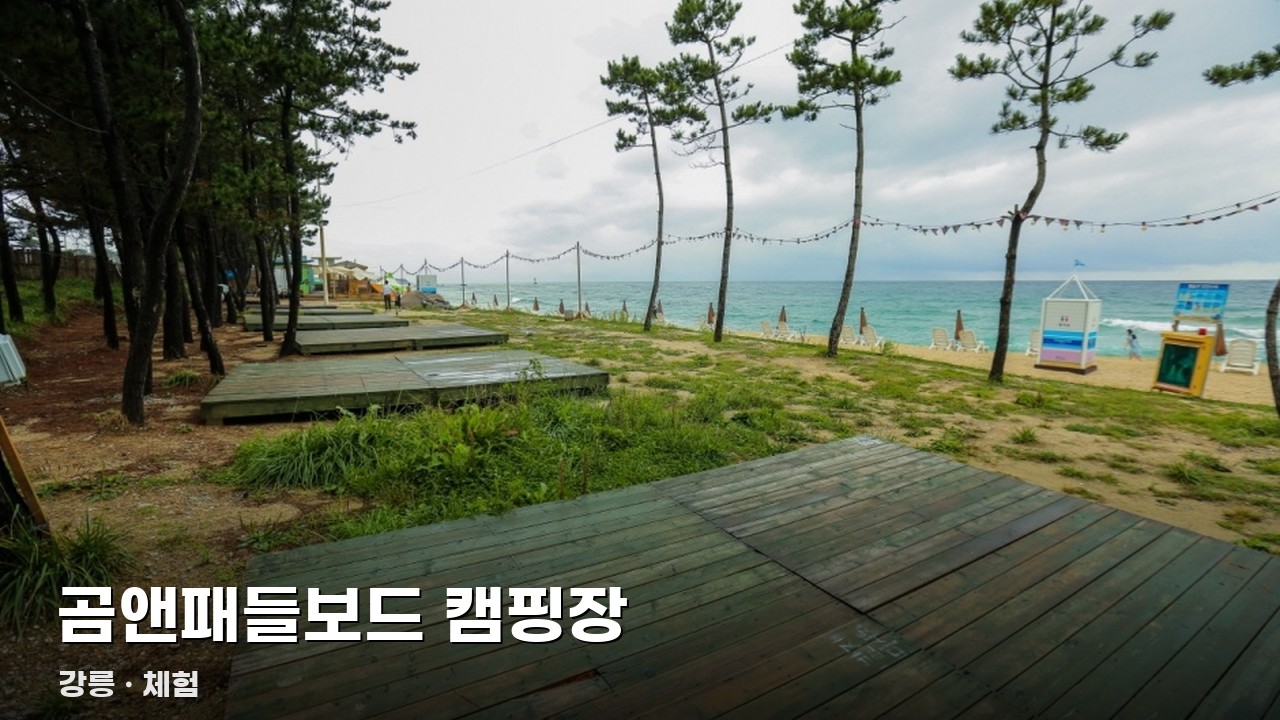 곰앤패들보드 캠핑장