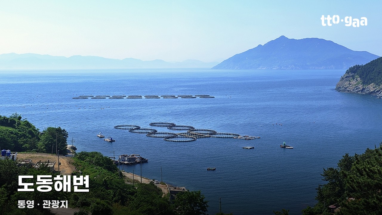 도동해변