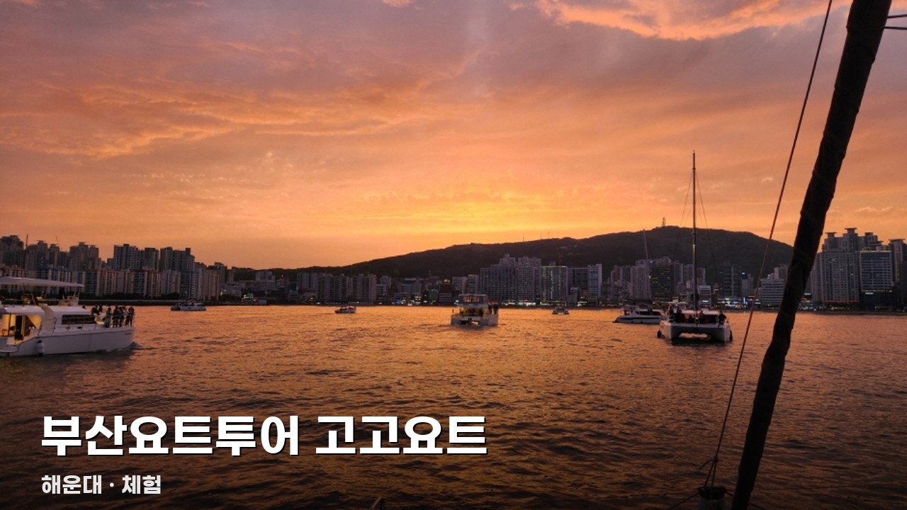 부산요트투어 고고요트