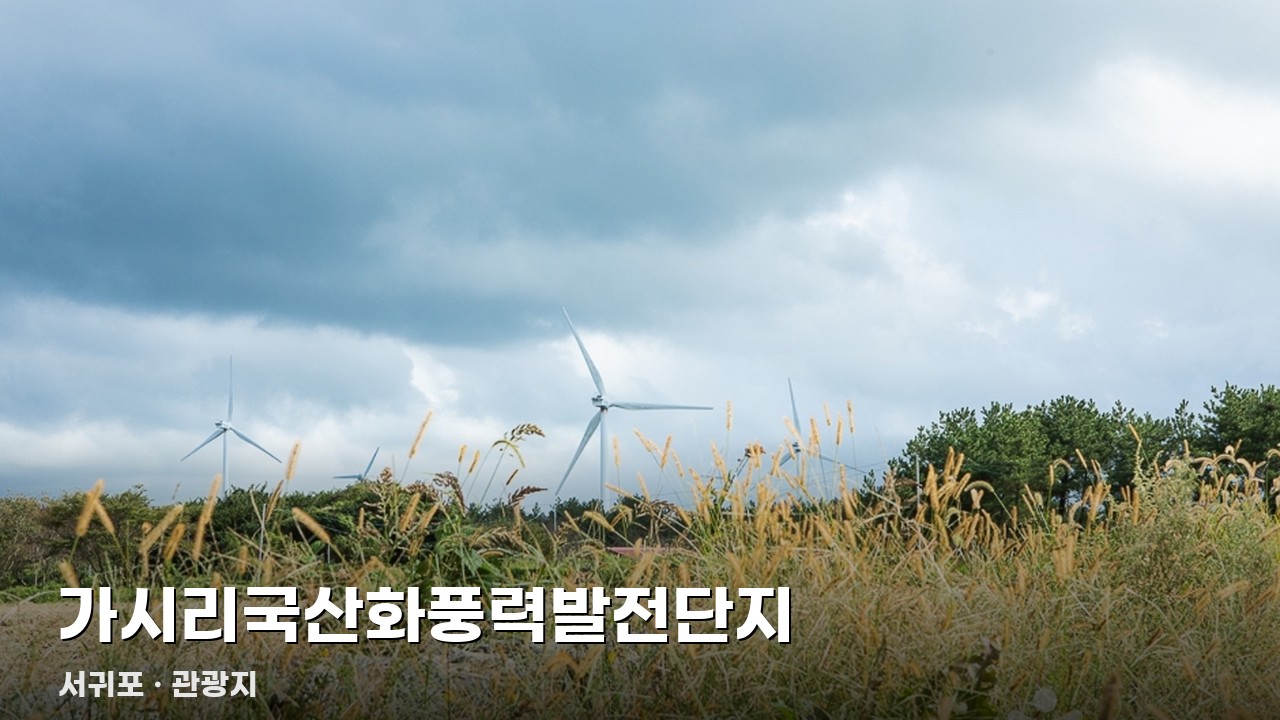 가시리국산화풍력발전단지