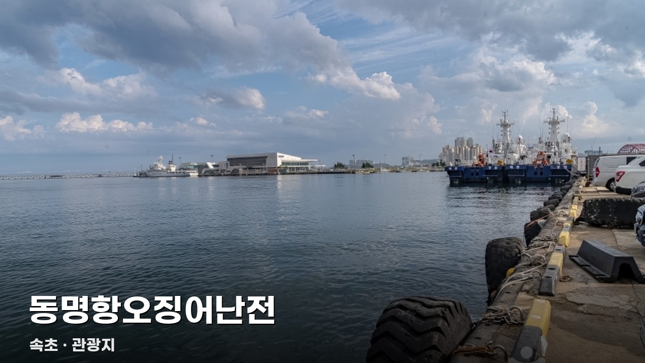 동명항오징어난전