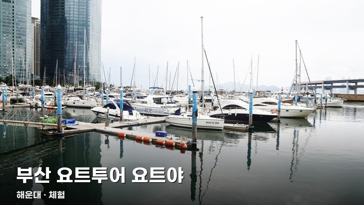부산 요트투어 요트야