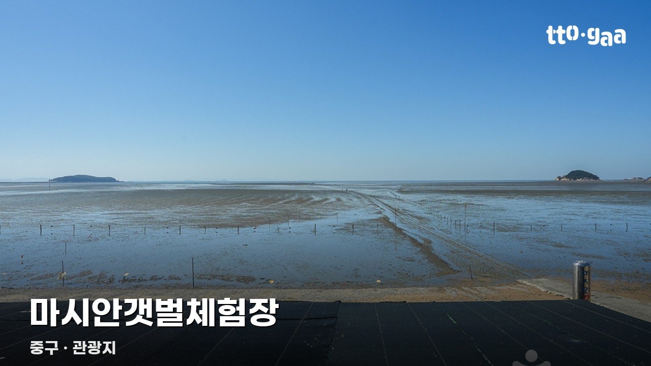 마시안갯벌체험장